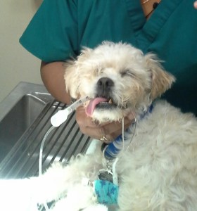 20141128_154254-1 (2)