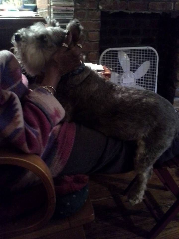 1239329_10202100856228697_1205828851_o