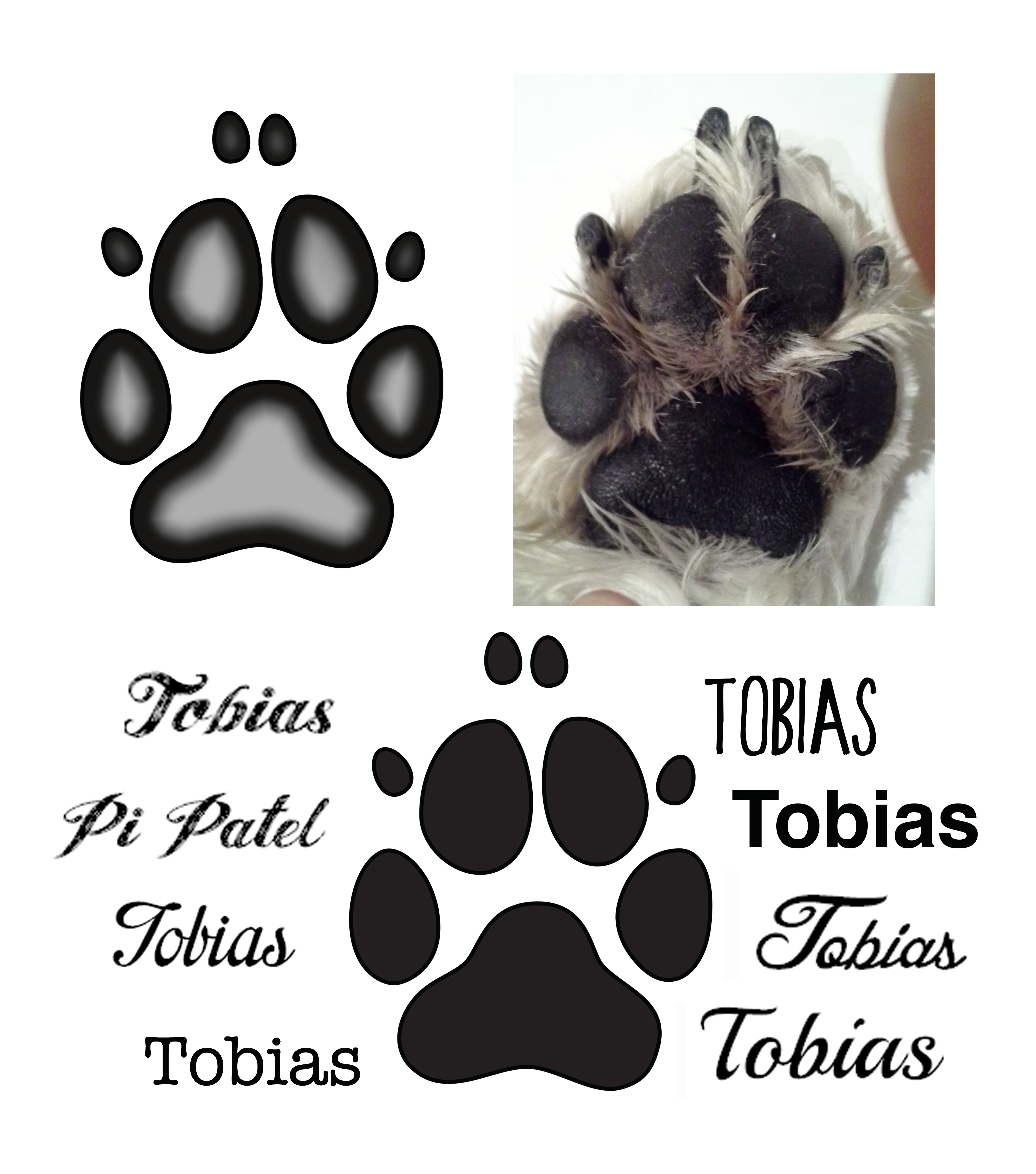 tobias-paw