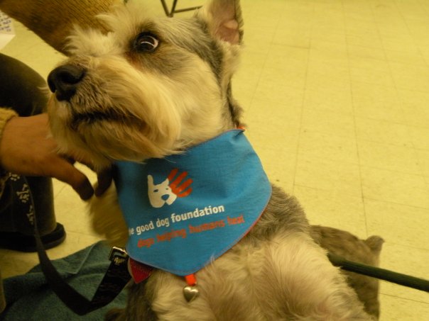 1094724054094 (2016-11-02T19_58_16.355)