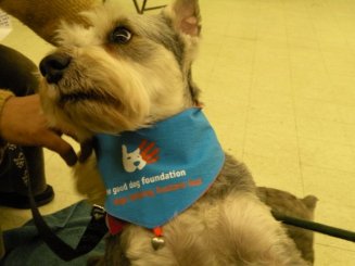 1094724054094 (2016-11-02T19_58_16.355)