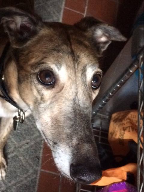 26047295_10215478207214111_1372158352286682438_n