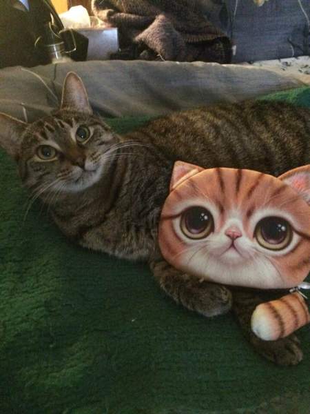 61440027_10219616439027320_6975866906997686272_n