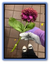 Messages Image(1163073376).jpeg